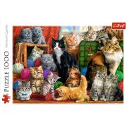 PUZZLE TREFL 1000 INTALNIREA PISICUTELOR VIV10555