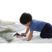 Set cu animale marine RMKPLAN6129