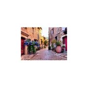 PUZZLE FRANTA MEDITERANEANA, 1000 PIESE - ARTRVSPA14975