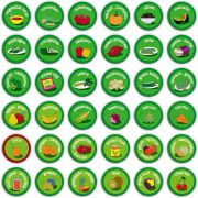 Set magnetic Mananca sanatos - Eat Well Chart Fiesta Crafts FCT-2946 BBJFCT-2946_Initiala