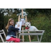 KIT PICTURA PE NUMERE SCHIPPER CATELUL PAULI VIV609240404