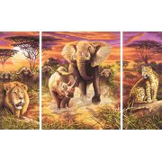 KIT PICTURA PE NUMERE SCHIPPER CEI 5 EROI AI AFRICII, 3 TABLOURI VIV609260520
