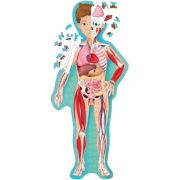 Cunoaste si exploreaza -  puzzle corpul uman (200 piese)
