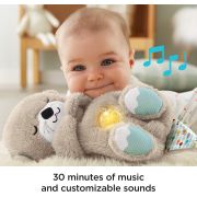 Jucarie Bebelusi Fisher Price Vidra de Plus - 4AKFXC66