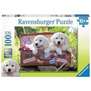 PUZZLE CATEI IN VALIZA, 100 PIESE - ARTRVSPC10538