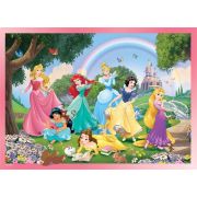 Puzzle de colorat - Printese in gradina (24 piese) EDULS74082
