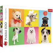 PUZZLE TREFL 500 CATELUSI VIV37378