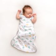 Sac de dormit Moon & Stars 0-3 luni 0.5 Tog BBXROM510-05