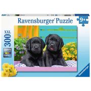 PUZZLE CATELUSI, 300 PIESE - ARTRVSPC12950