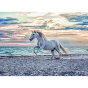 PUZZLE CAL PE PLAJA, 500 PIESE - ARTRVSPA16586