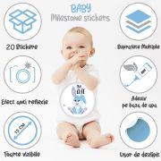 Pachet Paturica Foto Bebelusi Baby Milestone Blanket design Long Neck Zebra cu 20 Stickere My First + 20 Stickere Funny