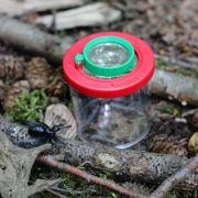 Cutie cu lupa pt insecte Expedition Natur Moses MS08020 BBJMS08020_Initiala