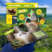 PUZZLE 3D+BROSURA-PADURE AMAZONIANA 67 PIESE - ARTCUDS0979h