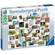 PUZZLE COLAJ CU ANIMALE, 1500 PIESE - ARTRVSPA16711