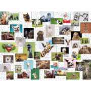 PUZZLE COLAJ CU ANIMALE, 1500 PIESE - ARTRVSPA16711