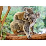 PUZZLE KOALA, 200 PIESE - ARTRVSPC12945