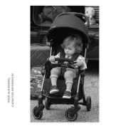 Carucior sport copii Chicco Cheerio, Hydra, 0luni+ CHC79735-8_HYDRA