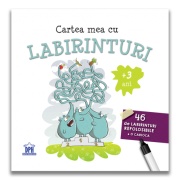 Cartea mea cu labirinturi