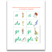 Casetele montessori - invat sa citesc cu montessori