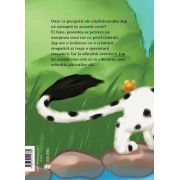Jup, un pisoi de soi – volumul ix – un salt norocos