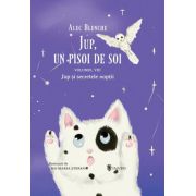 Jup, un pisoi de soi – volumul viii – jup si secretele noptii