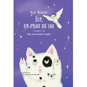 Jup, un pisoi de soi &ndash; volumul viii &ndash; jup si secretele noptii