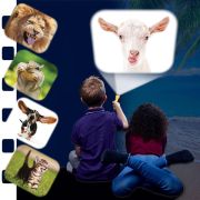 Proiector tip lanterna - animalute haioase