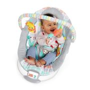 Bright Starts - Leagan si balansoar Whimsical Wild BBB11805