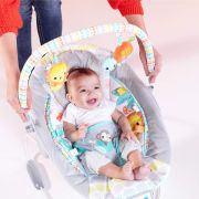 Bright Starts - Leagan si balansoar Whimsical Wild BBB11805