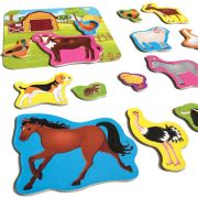 Set magnetic Animale de la Ferma cu Plansa magnetica inclusa, 21 piese Roter Kafer RK2090-01 BBJRK2090-01_Initiala