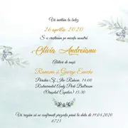 Invitatie de botez Olive branch - SHYFL029