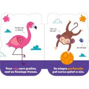 Micii mei amici - Culori Editura Kreativ EK6442 BBJEK6442_Initiala