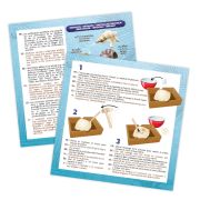 Kit de sapat - scoici bk441