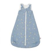 Sac de dormit ergobaby clasic stellar 0-6 luni, 1 tog tnaslbsmsteel1