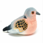 Pasare cu sunet turturea - turtle dove wr23713