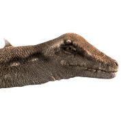 Proiector tip lanterna - dinozauri