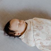 Sistem de infasare ergobaby safari tnaswasaf