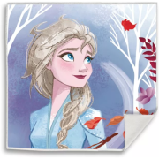 Prosopel magic Frozen Elsa 30x30 cm SunCity EWA21066WDA BBJEWA21066WDA_Initiala