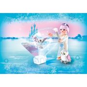 Printesa Florilor De Gheata ARTPM9351