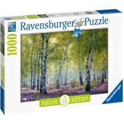 PUZZLE PADUREA DE MESTEACAN, 1000 PIESE ARTRVSPA16753