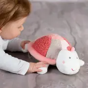 Pernuta anticolici - broscuta testoasa