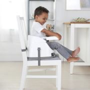 Ingenuity - Scaun masa 2 in 1 Cashmere BBB10678