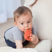 Jucarie organica pentru dentitie, din cauciuc natural, Gargarita, Grunspecht 681-00