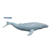 Animale marine set de 8 figurine - miniland - okeml27460