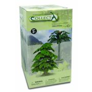 Copac gingo biloba 25 cm collecta - okecol89329cb