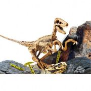 Experimentele micului geniu - kit paleontologie velociraptor