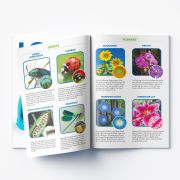 Geosafari - microscop kidscope