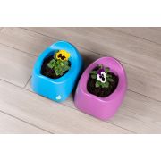 Olita eKoala, BIOplastic, Purple KRTEK064