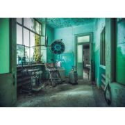 Puzzle Casa De Nebuni, 1000 Piese ARTRVSPA17098