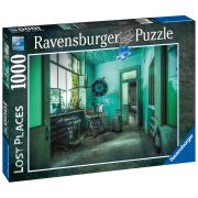 Puzzle Casa De Nebuni, 1000 Piese ARTRVSPA17098